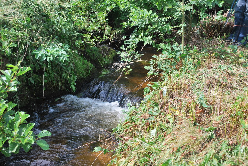 Le Moulin de la Fortie Viscomtat Extérieur photo